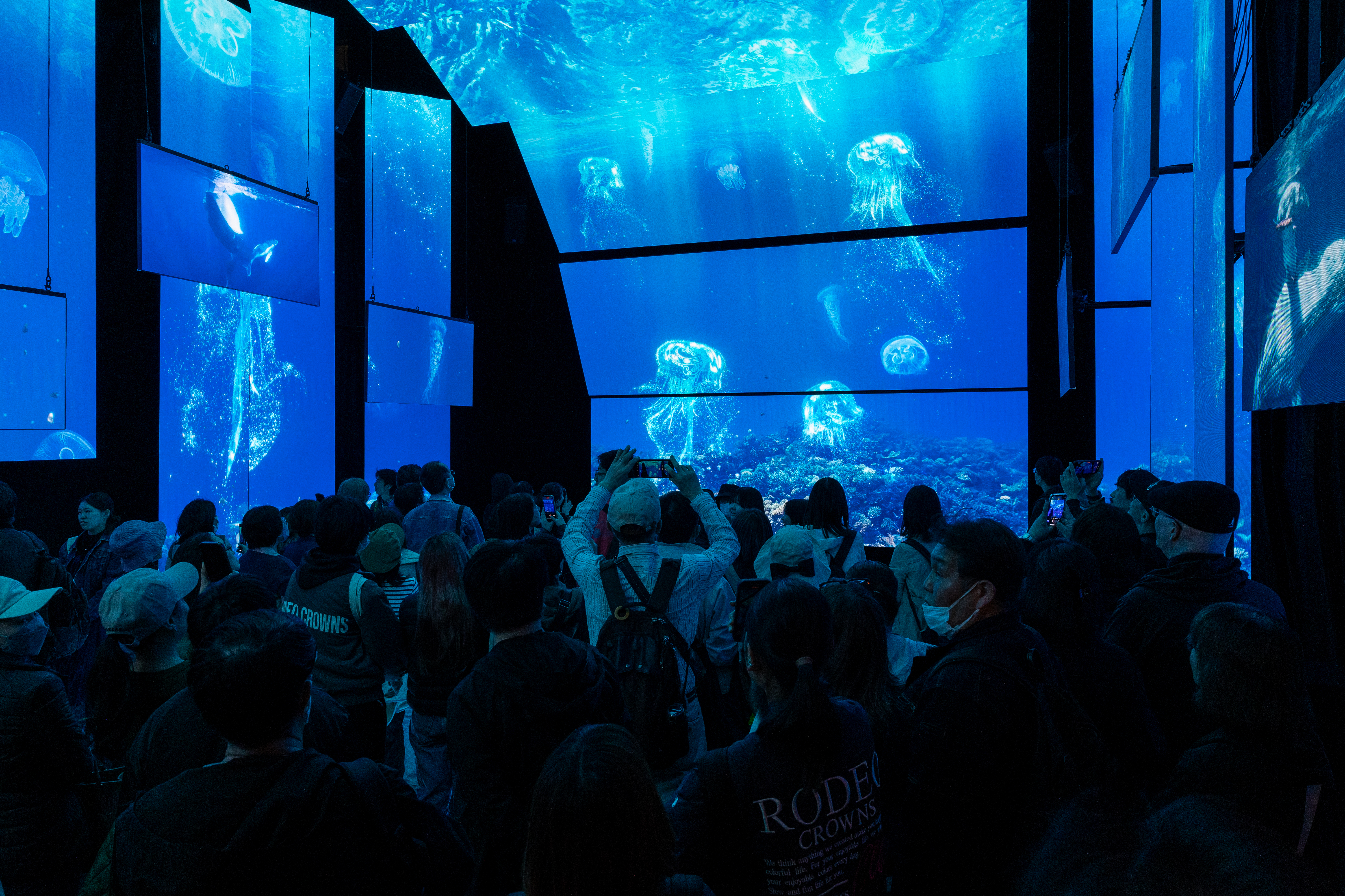 Sea Country exhibition at the Australia Pavilion at World Expo 2025 Osaka