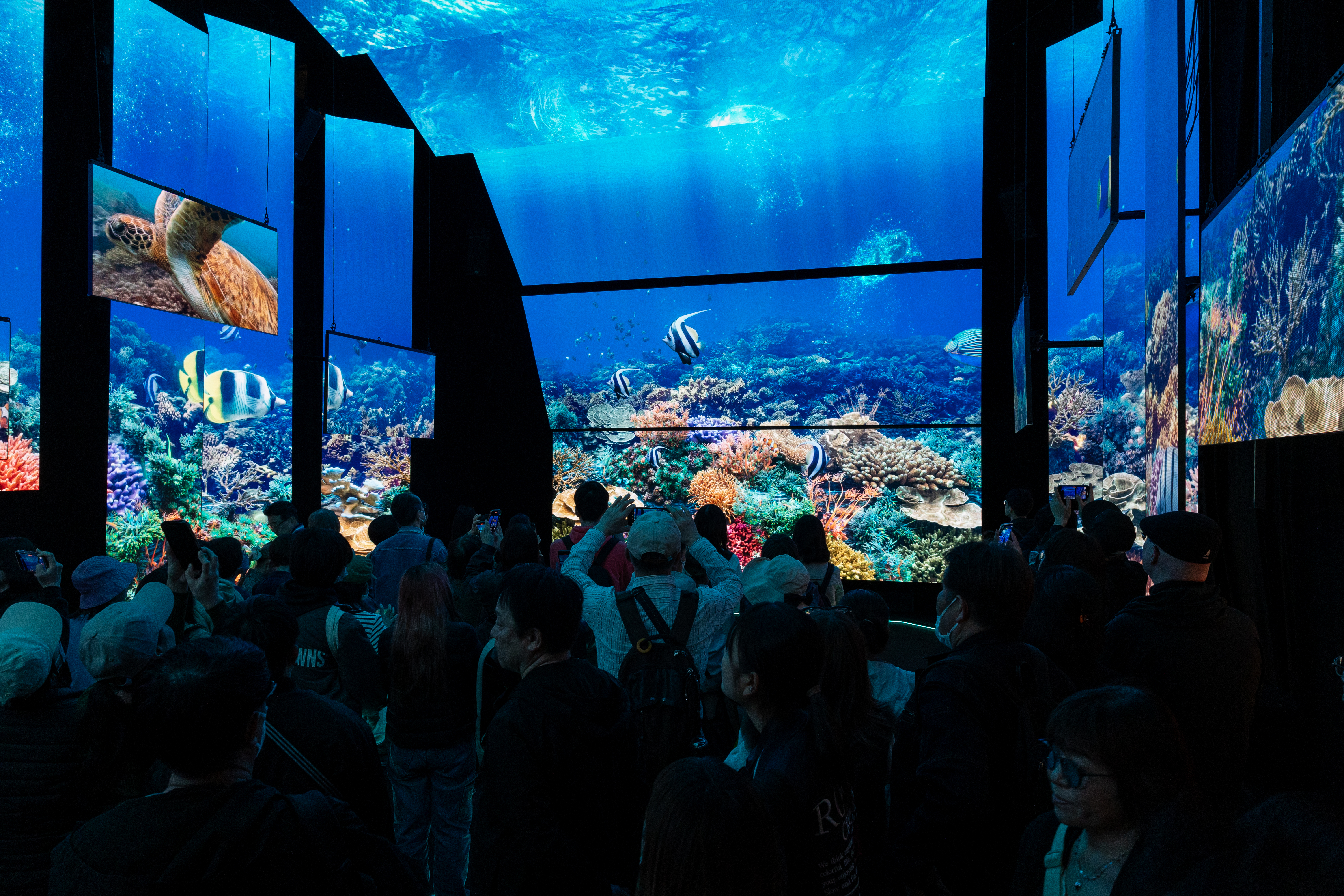 Sea Country exhibition on digital screen displays at the Australia Pavilion at World Expo 2025 Osaka