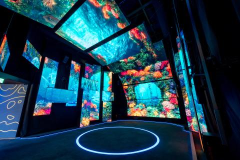 A multisensory journey, encountering breathtaking ocean landscapes 